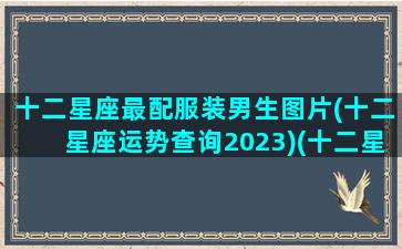 十二星座最配服装男生图片(十二星座运势查询2023)(十二星座配对什么衣服最好看)