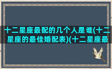 十二星座最配的几个人是谁(十二星座的最佳婚配表)(十二星座最配什么星座配对)