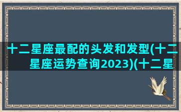 十二星座最配的头发和发型(十二星座运势查询2023)(十二星座的专属发型长什么样子)