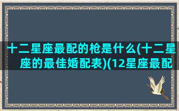 十二星座最配的枪是什么(十二星座的最佳婚配表)(12星座最配)