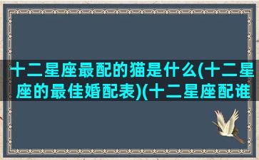十二星座最配的猫是什么(十二星座的最佳婚配表)(十二星座配谁最好)