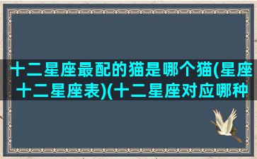 十二星座最配的猫是哪个猫(星座十二星座表)(十二星座对应哪种猫)