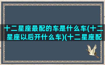 十二星座最配的车是什么车(十二星座以后开什么车)(十二星座配哪辆车)