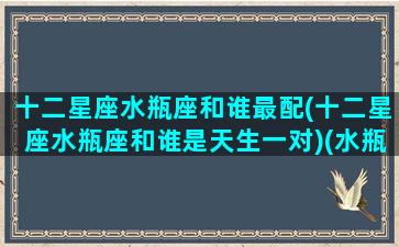 十二星座水瓶座和谁最配(十二星座水瓶座和谁是天生一对)(水瓶座和十二星座谁最般配排行榜)