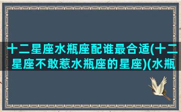 十二星座水瓶座配谁最合适(十二星座不敢惹水瓶座的星座)(水瓶哪个星座最配对)