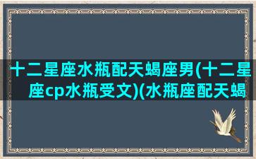 十二星座水瓶配天蝎座男(十二星座cp水瓶受文)(水瓶座配天蝎座合适吗)