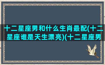 十二星座男和什么生肖最配(十二星座谁是天生漂亮)(十二星座男和十二星座女配对)