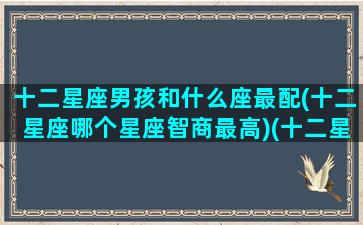 十二星座男孩和什么座最配(十二星座哪个星座智商最高)(十二星座男和女谁最配)