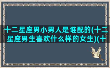 十二星座男小男人是谁配的(十二星座男生喜欢什么样的女生)(十二星座小男孩)