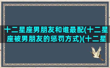 十二星座男朋友和谁最配(十二星座被男朋友的惩罚方式)(十二星座的男朋友是)