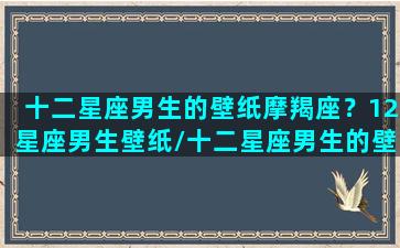 十二星座男生的壁纸摩羯座？12星座男生壁纸/十二星座男生的壁纸摩羯座？12星座男生壁纸-我的网站