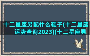 十二星座男配什么鞋子(十二星座运势查询2023)(十二星座男最配什么星座女)