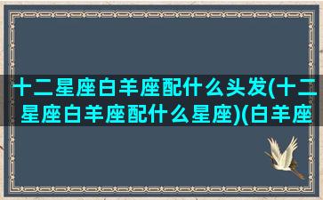 十二星座白羊座配什么头发(十二星座白羊座配什么星座)(白羊座的专属头发怎么扎)