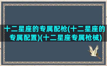 十二星座的专属配枪(十二星座的专属配置)(十二星座专属枪械)