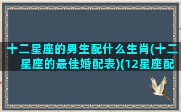 十二星座的男生配什么生肖(十二星座的最佳婚配表)(12星座配什么星座男生)