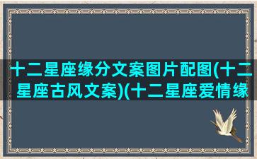 十二星座缘分文案图片配图(十二星座古风文案)(十二星座爱情缘分关系公式)