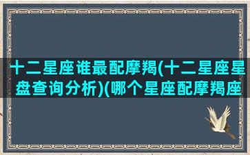 十二星座谁最配摩羯(十二星座星盘查询分析)(哪个星座配摩羯座)