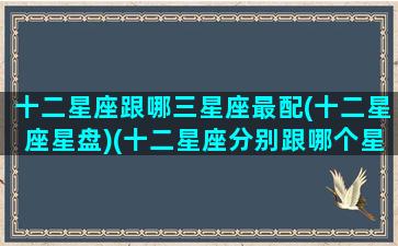 十二星座跟哪三星座最配(十二星座星盘)(十二星座分别跟哪个星座最配)
