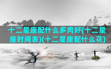 十二星座配什么多肉好(十二星座时间表)(十二星座配什么花)