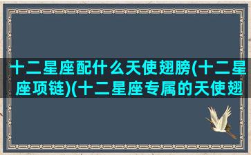 十二星座配什么天使翅膀(十二星座项链)(十二星座专属的天使翅膀是什么样的)