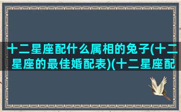 十二星座配什么属相的兔子(十二星座的最佳婚配表)(十二星座配什么样)