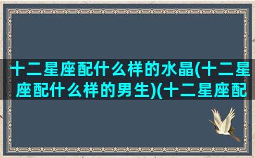 十二星座配什么样的水晶(十二星座配什么样的男生)(十二星座配什么男明星)