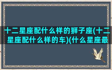 十二星座配什么样的狮子座(十二星座配什么样的车)(什么星座最搭配狮子座)