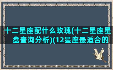 十二星座配什么玫瑰(十二星座星盘查询分析)(12星座最适合的颜色)