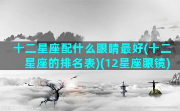 十二星座配什么眼睛最好(十二星座的排名表)(12星座眼镜)