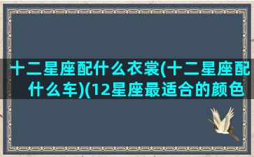 十二星座配什么衣裳(十二星座配什么车)(12星座最适合的颜色)