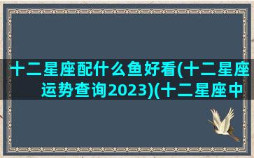 十二星座配什么鱼好看(十二星座运势查询2023)(十二星座中最搭配的星座)