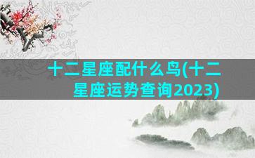 十二星座配什么鸟(十二星座运势查询2023)