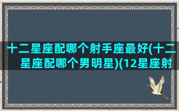 十二星座配哪个射手座最好(十二星座配哪个男明星)(12星座射手座和谁最配)