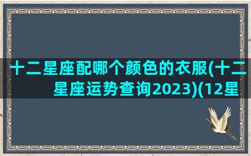 十二星座配哪个颜色的衣服(十二星座运势查询2023)(12星座配色)