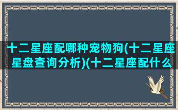 十二星座配哪种宠物狗(十二星座星盘查询分析)(十二星座配什么星座最好)
