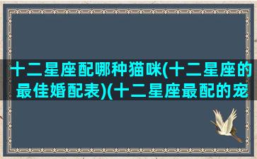 十二星座配哪种猫咪(十二星座的最佳婚配表)(十二星座最配的宠物)