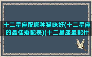 十二星座配哪种猫咪好(十二星座的最佳婚配表)(十二星座最配什么猫)