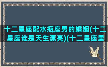 十二星座配水瓶座男的婚姻(十二星座谁是天生漂亮)(十二星座里的水瓶座和谁结婚最合适)