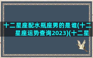 十二星座配水瓶座男的是谁(十二星座运势查询2023)(十二星座水瓶和谁最配)