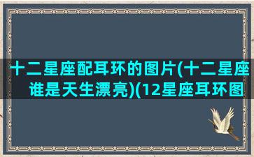 十二星座配耳环的图片(十二星座谁是天生漂亮)(12星座耳环图片大全!)