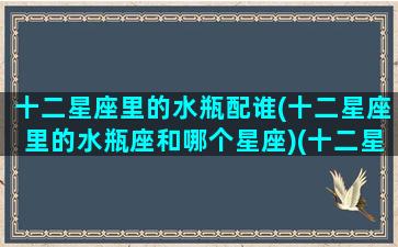 十二星座里的水瓶配谁(十二星座里的水瓶座和哪个星座)(十二星座与水瓶座配对排名)