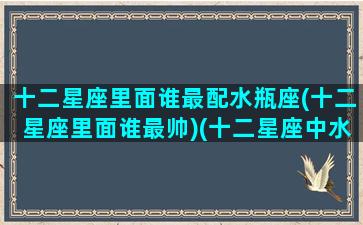 十二星座里面谁最配水瓶座(十二星座里面谁最帅)(十二星座中水瓶座和谁最配)