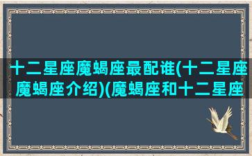 十二星座魔蝎座最配谁(十二星座魔蝎座介绍)(魔蝎座和十二星座配对指数)