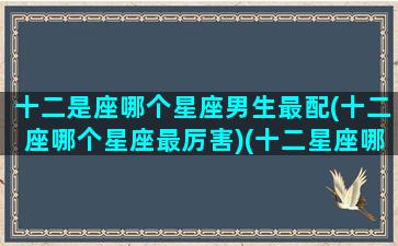 十二是座哪个星座男生最配(十二座哪个星座最厉害)(十二星座哪个男生最好)