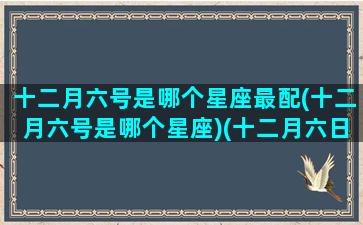 十二月六号是哪个星座最配(十二月六号是哪个星座)(十二月六日是哪个星座)