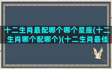 十二生肖最配哪个哪个星座(十二生肖哪个配哪个)(十二生肖最佳配偶有哪些)