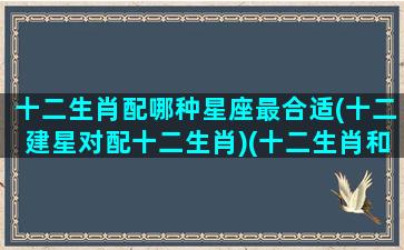 十二生肖配哪种星座最合适(十二建星对配十二生肖)(十二生肖和星座怎样配对)