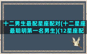 十二男生最配星座配对(十二星座最聪明第一名男生)(12星座配什么男朋友)