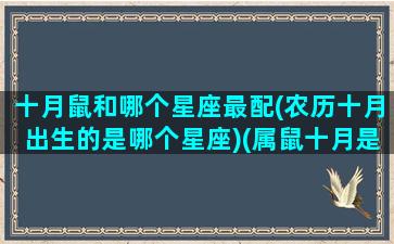 十月鼠和哪个星座最配(农历十月出生的是哪个星座)(属鼠十月是什么星座)