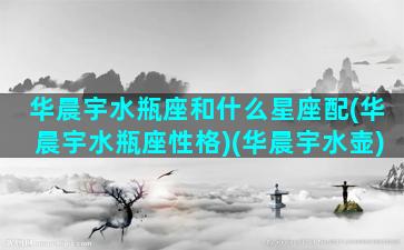 华晨宇水瓶座和什么星座配(华晨宇水瓶座性格)(华晨宇水壶)